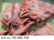 Food background of raw chicken heads. Cat food. Стоковое фото, фотограф Iva Noel / Фотобанк Лори