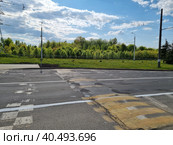 Весенний пейзаж. Дорога, деревья, небо. Стоковое фото, фотограф Артур Долматович / Фотобанк Лори