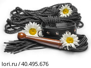 Bdsm leather lash and black collar with shibari rope and yellow daisy flowers on a white background. Стоковое фото, фотограф Артем Курутин / Фотобанк Лори