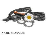 Bdsm black leather gag with handcuffs and a yellow daisy flower on a white background. Стоковое фото, фотограф Артем Курутин / Фотобанк Лори