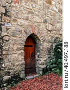 old wooden door in a stone wall with green moss and fallen autumn yellow leaves. Стоковое фото, фотограф Артем Курутин / Фотобанк Лори