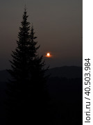 Закат на фоне дерева. Стоковое фото, фотограф Александр Буряк / Фотобанк Лори