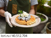 Woman holding Belgium waffles with dragon fruit and ice cream on a plate. Стоковое фото, фотограф Татьяна Терехина / Фотобанк Лори