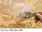 A female hand in a protective glove covers the OSB surface with acrylic varnish using a paint brush. Стоковое фото, фотограф Коханова Наталья / Фотобанк Лори