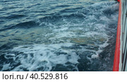 Boka Kotor Adriatic Sea, Verige Strait Kamenari Lepetane Ferry Line Trajekt. Ferryboat for passenger, cargo and vehicles. Water seethes from under the ship. Whirlpool waves and bubbles. August 16 2022. Стоковое видео, видеограф Юлия Петровская / Фотобанк Лори