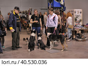 A visitor with dogs at the White Nights exhibition (2014 год). Редакционное фото, фотограф Анна Кривицкая / Фотобанк Лори