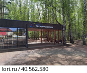 Красноярск - эко-парк Гремячья грива (2023 год). Редакционное фото, фотограф Максим Гулячик / Фотобанк Лори
