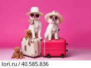 Two white poodles in glasses and hats are sitting on pink suitcases. Summer travel concept. Generative AI. Стоковое AI-изображение, AI-художник Юрий Поздников / Фотобанк Лори