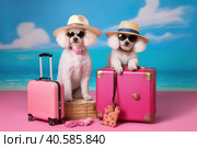 Two white poodles in glasses and hats are sitting on pink suitcases. Summer travel concept. Generative AI. Стоковое AI-изображение, AI-художник Юрий Поздников / Фотобанк Лори