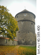 Fat Margarita is the tower of the Tallinn City Wall, located at the end of Pikk Street. The gun tower with 155 loopholes was built at the beginning of the 16th century in front of the Great Sea Gate. (2014 год). Редакционное фото, фотограф Анна Кривицкая / Фотобанк Лори