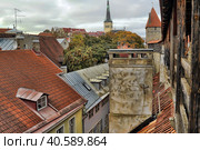 Red roofs of Tallinn. Estonia (2014 год). Редакционное фото, фотограф Анна Кривицкая / Фотобанк Лори