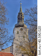 St Mary's Cathedral (Dome Church) on Toompea Hill in old Tallinn, Estonia (2015 год). Редакционное фото, фотограф Анна Кривицкая / Фотобанк Лори