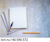 Открытые тетради с чистыми страницами, ручка и карандаш лежат на столе. Место для Вашего текста. Концепция образования, научной работы, бизнеса.  A stack of open notebooks. The handle is on top. Pencil at the bottom of the background. You can write text on a blank copybook sheet and on the background. Education concept. Стоковое фото, фотограф Бузмакова Светлана / Фотобанк Лори