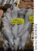 Solea solea in the fish market of Istanbul (2018 год). Редакционное фото, фотограф Анна Кривицкая / Фотобанк Лори