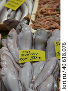 Solea solea in the fish market of Istanbul (2018 год). Редакционное фото, фотограф Анна Кривицкая / Фотобанк Лори