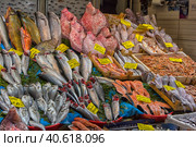 Various fish on the counter fish shop in Istanbul (2018 год). Редакционное фото, фотограф Анна Кривицкая / Фотобанк Лори