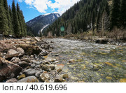 Река Чон-Ак-Суу, Григорьевское ущелье, Кыргызстан (2023 год). Стоковое фото, фотограф Римма Тельнова / Фотобанк Лори