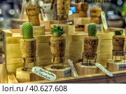 Cacti and other succulents for sale in a store (2019 год). Редакционное фото, фотограф Анна Кривицкая / Фотобанк Лори