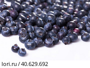 Ripe bilberries on white background. Стоковое фото, фотограф Яков Филимонов / Фотобанк Лори