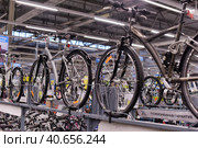 Russia, St. Petersburg 09,03,2015Bicycles for sale in a sporting goods store. Редакционное фото, фотограф Анна Кривицкая / Фотобанк Лори