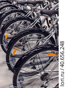 Russia, St. Petersburg 09,03,2015Bicycles for sale in a sporting goods store. Редакционное фото, фотограф Анна Кривицкая / Фотобанк Лори