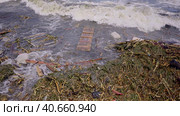 Close-up of floating debris has reached Black Sea beaches in Odessa, Ukraine. Environmental disaster caused by the explosion of Kakhovka Hydroelectric Power Plant dam. Стоковое фото, фотограф Некрасов Андрей / Фотобанк Лори