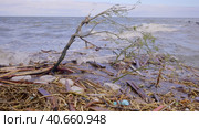 Trees with floating debris has reached Black Sea coastal zone in Odessa, Ukraine. Environmental disaster caused by the explosion of Kakhovka Hydroelectric Power Plant dam. Стоковое фото, фотограф Некрасов Андрей / Фотобанк Лори