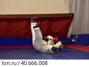 Championship in army hand-to-hand combat (2017 год). Редакционное фото, фотограф Анна Кривицкая / Фотобанк Лори