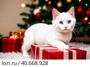 White kitten with New Year's gifts on the background of a decorated Christmas tree. Generative AI. Стоковое AI-изображение, AI-художник Mixail59 / Фотобанк Лори