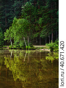 Small lake in the forest with reflection and wild water lily, Norway. Стоковое фото, фотограф Анна Кривицкая / Фотобанк Лори