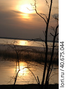 Sunset over the forest lake. Стоковое фото, фотограф Анна Кривицкая / Фотобанк Лори