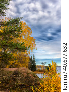 Golden autumn at the Monrepo park, Стоковое фото, фотограф Анна Кривицкая / Фотобанк Лори