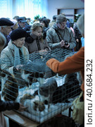 St. Petersburg, Russia 26.10.2013    The Way Home - show the distribution of animal shelter Rzhevka, Редакционное фото, фотограф Анна Кривицкая / Фотобанк Лори