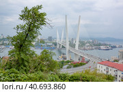 Владивосток. Вид на Золотой мост в пасмурную погоду. Стоковое фото, фотограф Галина / Фотобанк Лори