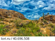 Saguaro National Park, landscape with cloudy sky (2016 год). Стоковое фото, фотограф Анна Кривицкая / Фотобанк Лори