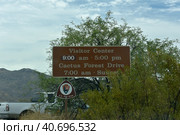 Saguaro National Park. Tourist center and tourist information (2016 год). Редакционное фото, фотограф Анна Кривицкая / Фотобанк Лори