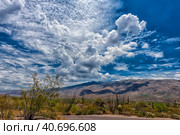 Saguaro National Park, landscape with cloudy sky (2016 год). Стоковое фото, фотограф Анна Кривицкая / Фотобанк Лори