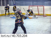 Training complex for hockey players, (2017 год). Редакционное фото, фотограф Анна Кривицкая / Фотобанк Лори
