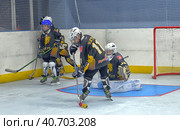 Training complex for hockey players, (2017 год). Редакционное фото, фотограф Анна Кривицкая / Фотобанк Лори