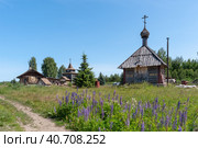 Крестильный храм Тихвинской иконы Божией Матери. Единоверческий приход храма Тихвинской иконы Божией Матери на Анинском (Анненском) погосте в Кировском районе Ленинградской области (2023 год). Стоковое фото, фотограф Румянцева Наталия / Фотобанк Лори