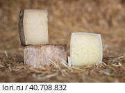 whole head of ripe country cheese and slices on hay. Стоковое фото, фотограф Татьяна Яцевич / Фотобанк Лори