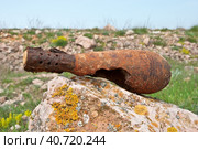 Старая минометная мина времен второй мировой войны. War echo in the Crimean mountains near the city of Sevastopol. (2011 год). Стоковое фото, фотограф Татьяна Д / Фотобанк Лори