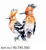 Two hoopoe birds. Illustration AI Generative. Стоковое AI-изображение, AI-художник Юлия Гапеенко / Фотобанк Лори