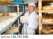 Cheesemaker checking aging process of cheese in maturing chamber. Стоковое фото, фотограф Яков Филимонов / Фотобанк Лори