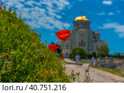 Sevastopol Historical and archaeological reserve "Tauric Chersonesos". Cathedral of St. Vladimir (2021 год). Редакционное фото, фотограф Анна Кривицкая / Фотобанк Лори