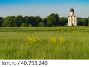 Храм Покрова на Нерли (2023 год). Редакционное фото, фотограф Юлия Божкова / Фотобанк Лори
