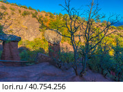 Unusual mushrooms are located in the valley of the Sotera River on the slope of one of the ravines. Стоковое фото, фотограф Анна Кривицкая / Фотобанк Лори