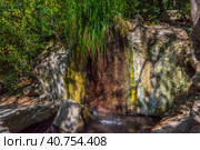 Waterfall of "Tears" in the Vorontsovsky Park. Стоковое фото, фотограф Анна Кривицкая / Фотобанк Лори