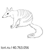 Древнее сумчатое животное. Животное Австралии. Animal sketch illustration with cute cartoon style. Стоковая иллюстрация, иллюстратор Ольга Головкина / Фотобанк Лори