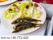 Roasted pilchards with vegetable salad. Стоковое фото, фотограф Яков Филимонов / Фотобанк Лори